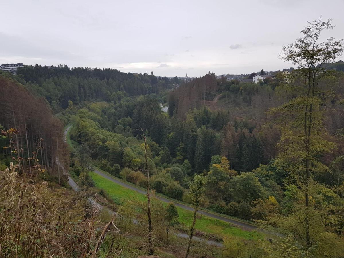 Altastenberger Lodge Winterberg Luaran gambar